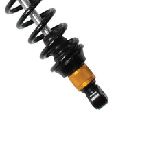 Load image into Gallery viewer, ZBROZ - LYNX PPS2-DS+2 X2 Series Rear Shock